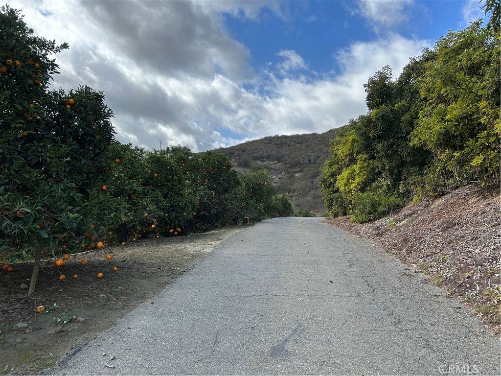 754 Rainbow Hills Road - Photo 1