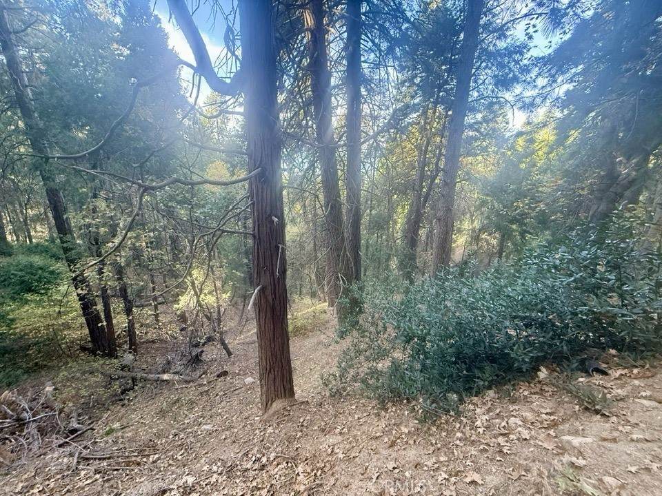 61 Lot - El Valle Road - Photo 1