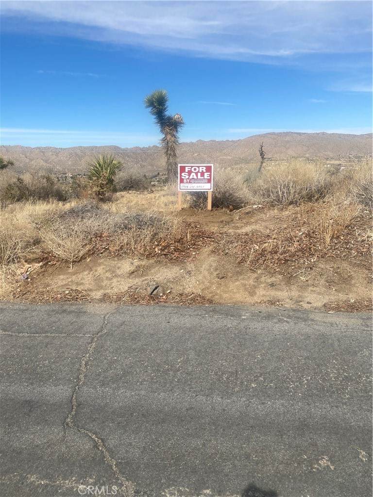 0 Desert Gold Drive - Photo 1