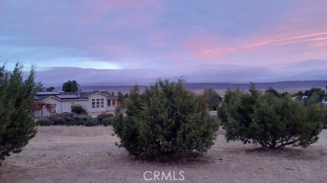 14451 Dorris Road - Photo 1