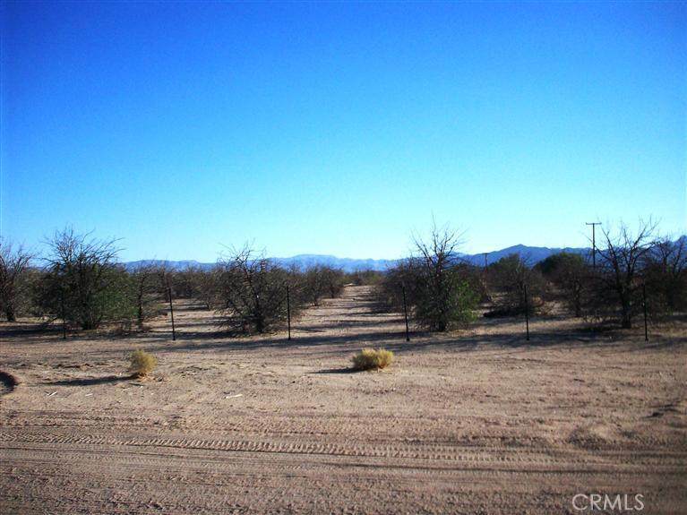 45527 Twin Lakes Drive - Photo 1