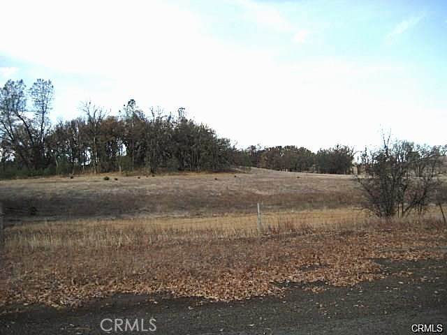 9505 Kelsey Creek Drive - Photo 1