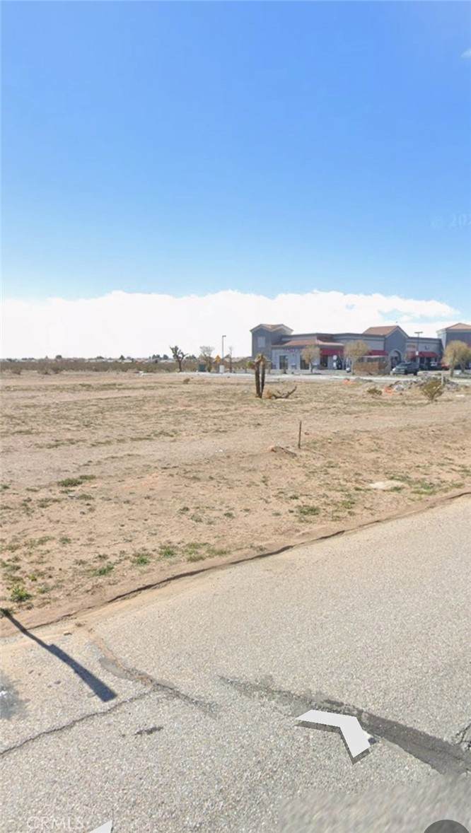 12063 Cactus Road - Photo 1