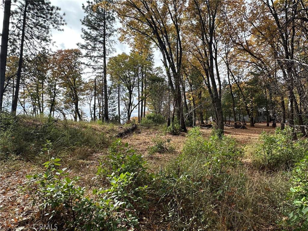 0 Bunker Hill Mine Rd - Photo 1