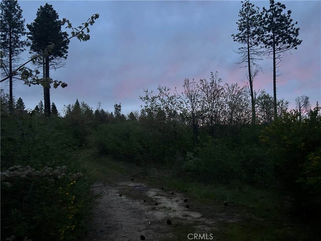 1 Hog Ranch Road - Photo 1