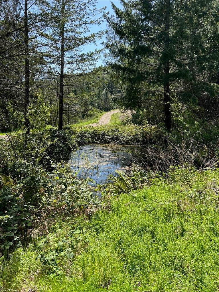 14607 Western Mine Road - Photo 1