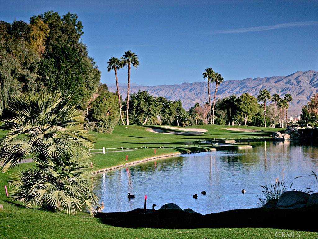41786 Woodhaven Drive - Photo 1