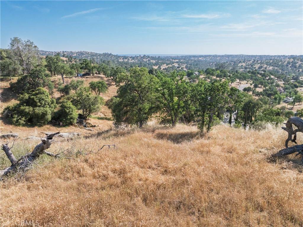 39854 Lilley Mountain Drive - Photo 1