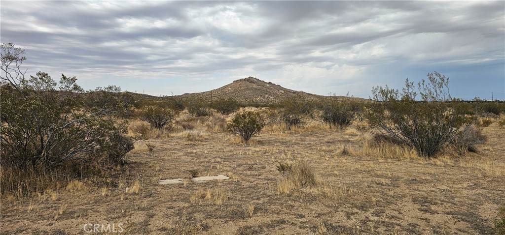 0 67th Street West - Photo 1