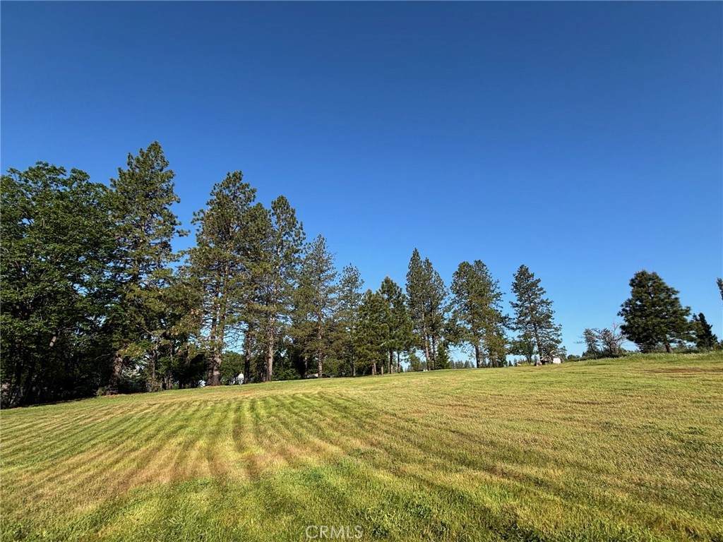 0 Libby Road - Photo 1