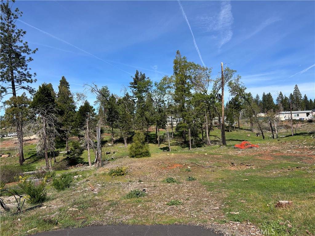 13664 Fritz Court - Photo 1