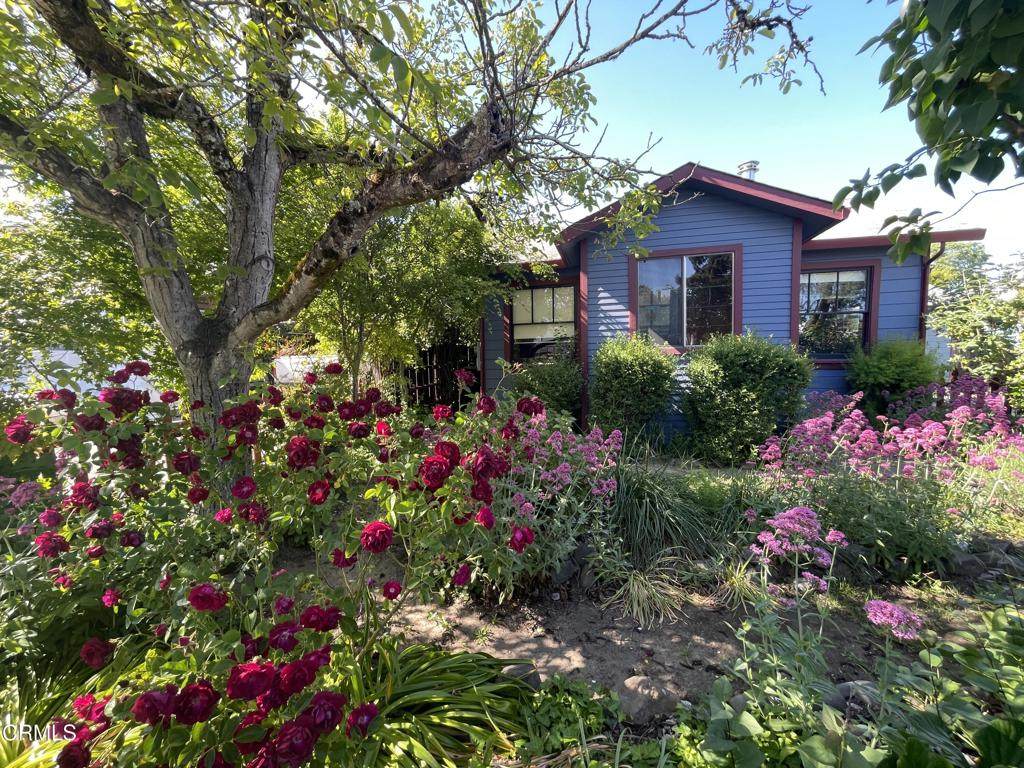 458 San Francisco Avenue - Photo 1
