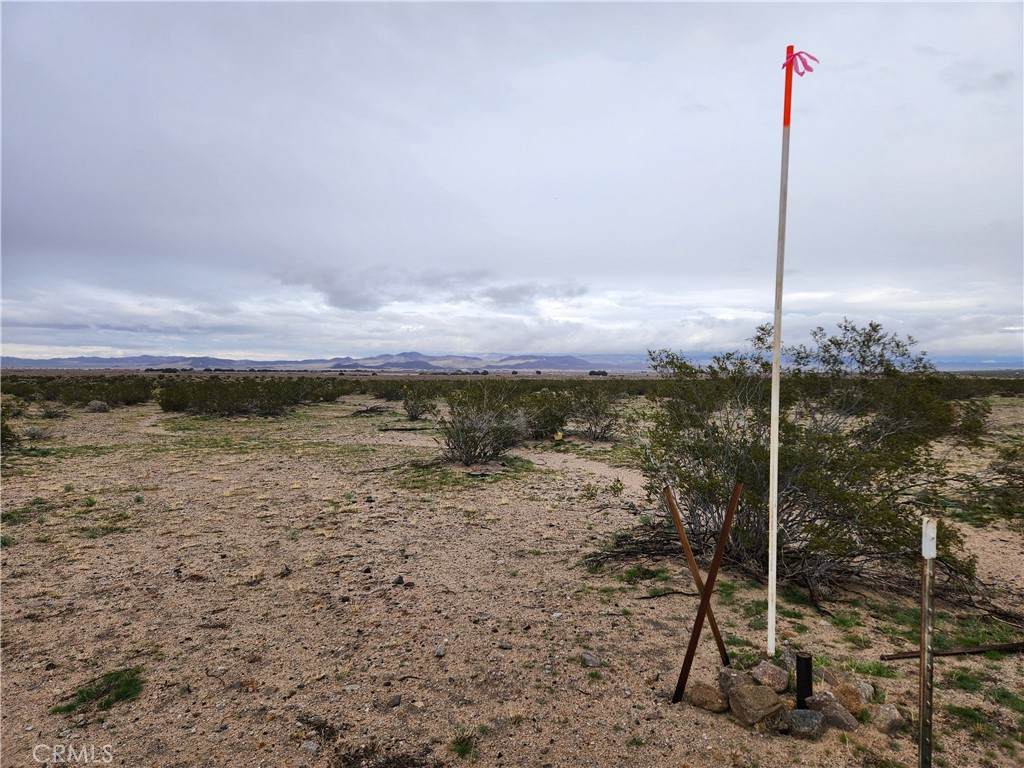 40 AC Near Center Road - Photo 1
