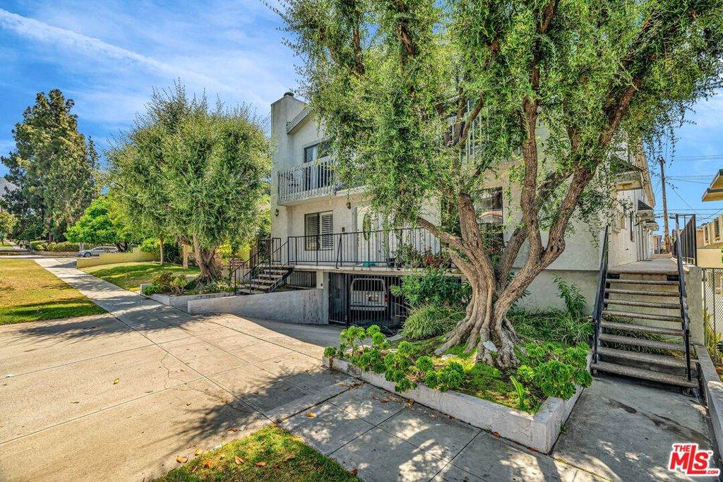 456 Magnolia Boulevard - Photo 1