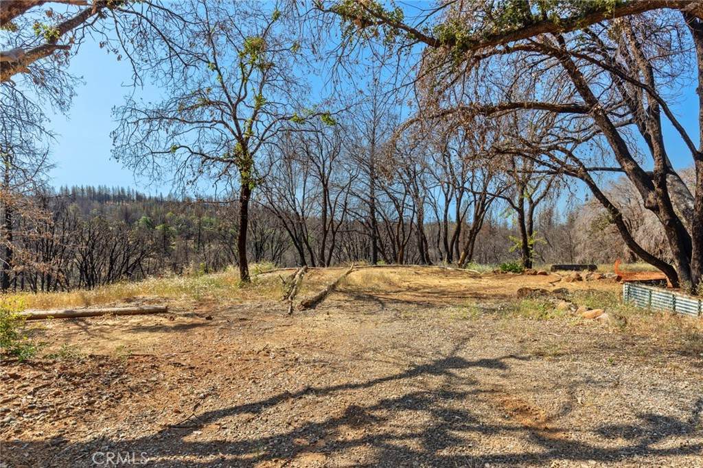 105 Harvey Road - Photo 1