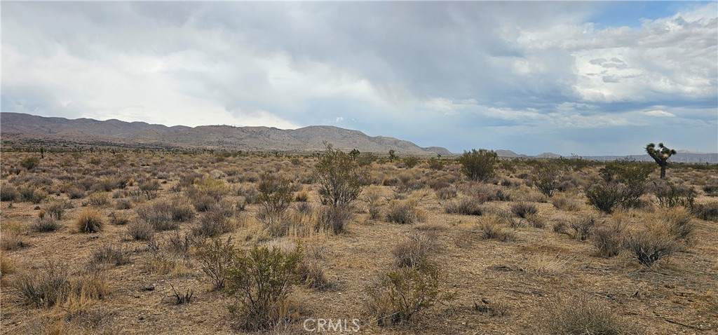 0 116th Street - Photo 1