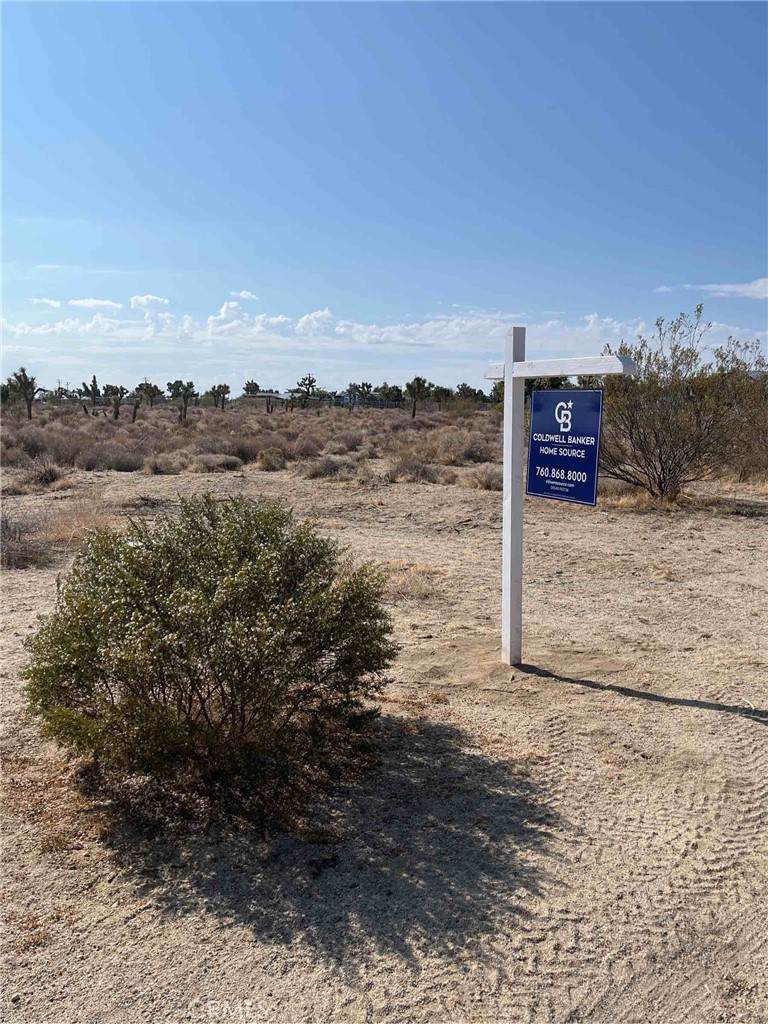 0 Pine Tree Road - Photo 1
