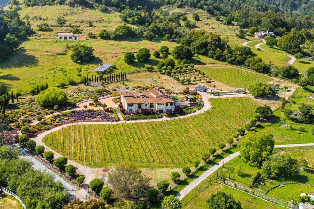 220 Falcon - Photo 1