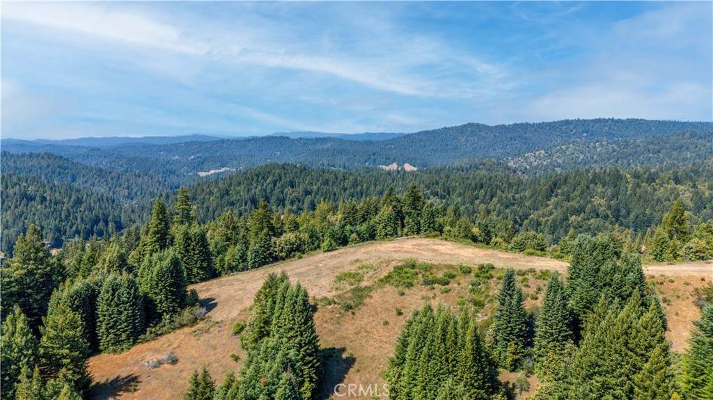 5801 Flynn Creek Road - Photo 1