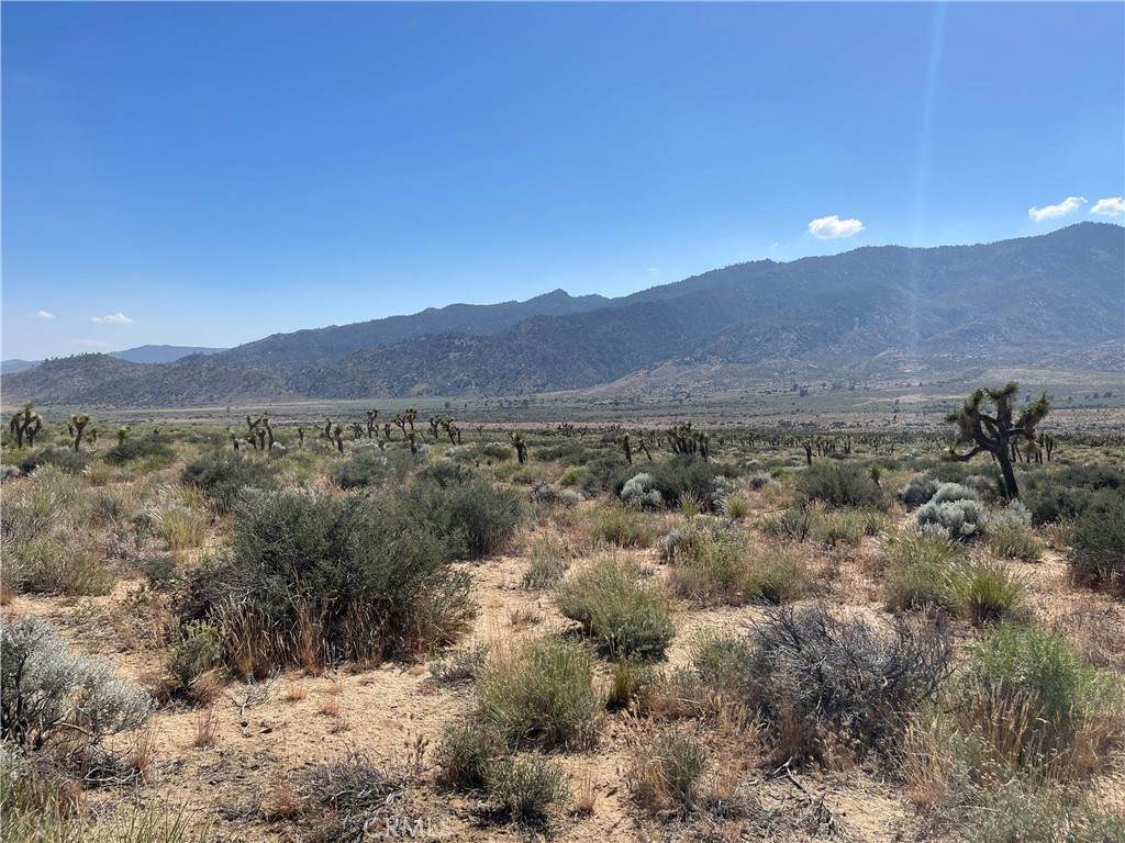 15310023 Kelso Valley Road - Photo 1