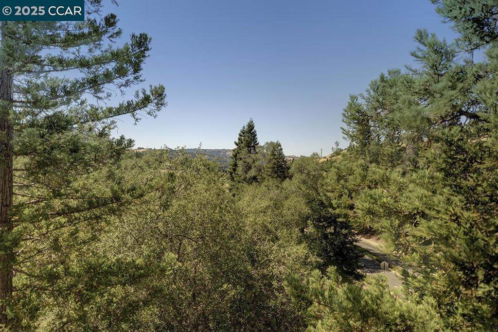 5910 Horsemans Canyon Dr. - Photo 1