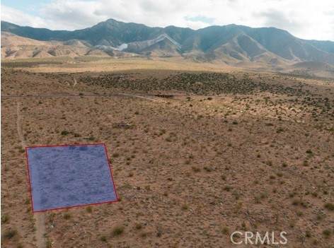 46 Powerline Road - Photo 1