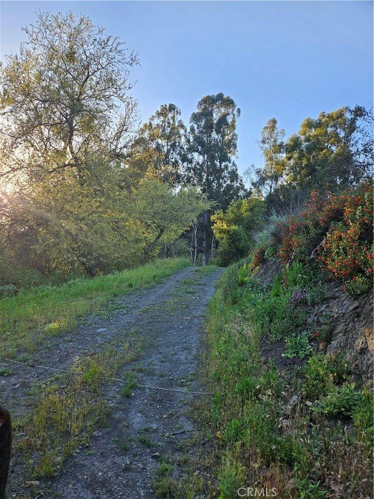 27375 Sycamore Mesa Road - Photo 1