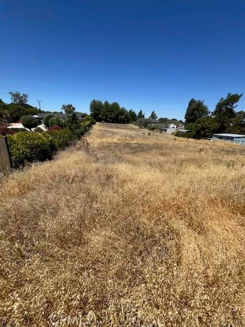 4515 Jardine Road - Photo 1