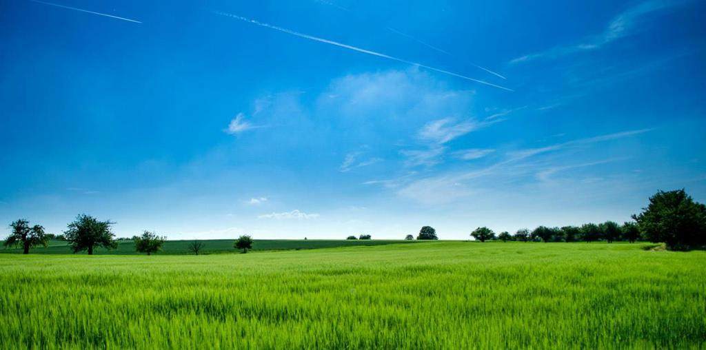 10868 Dougherty Avenue - Photo 1