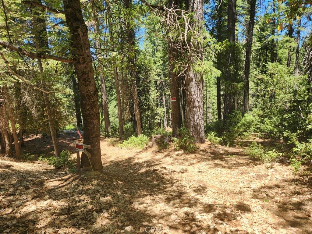 6296 Merry Way - Photo 1