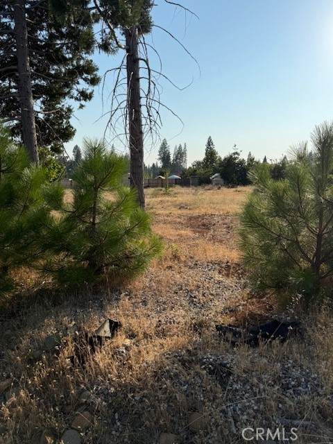 13945 Cascade Drive - Photo 1