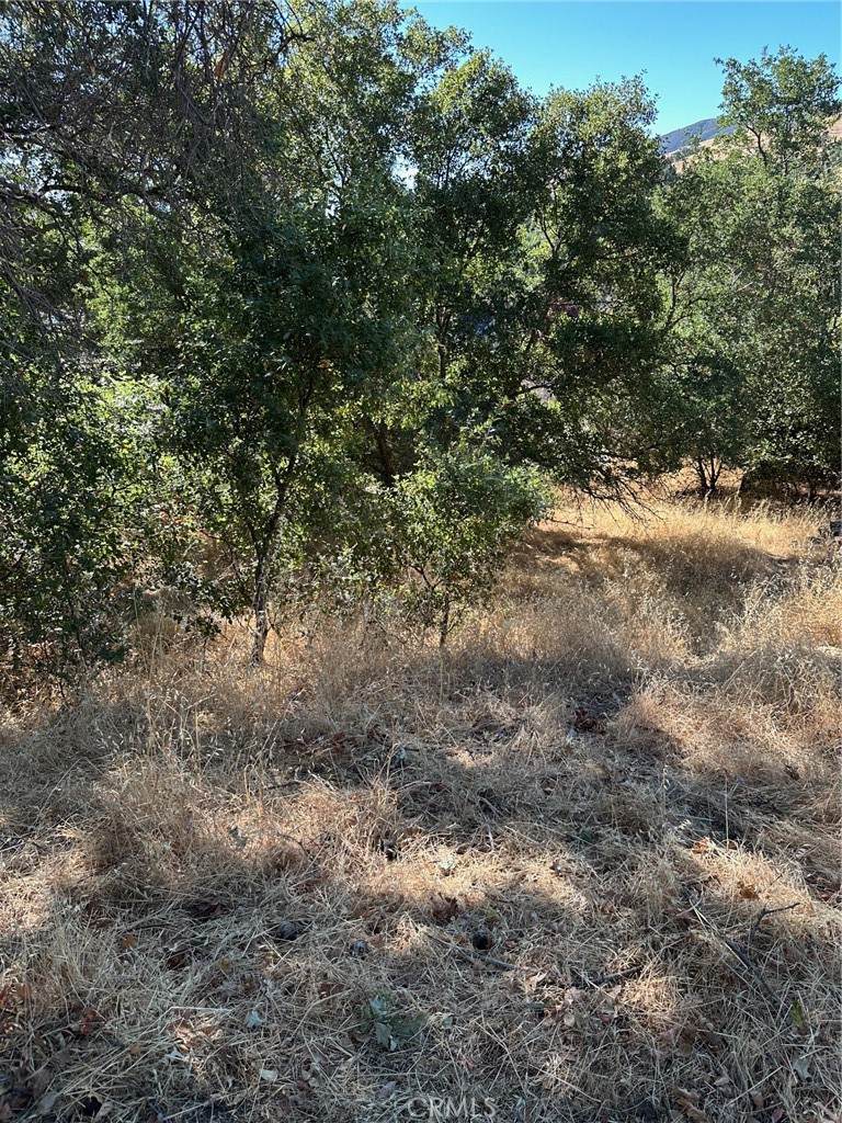 4219 Windsor Way - Photo 1