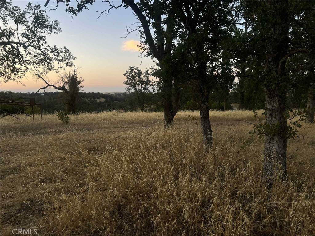 6915 Remunda Road - Photo 1