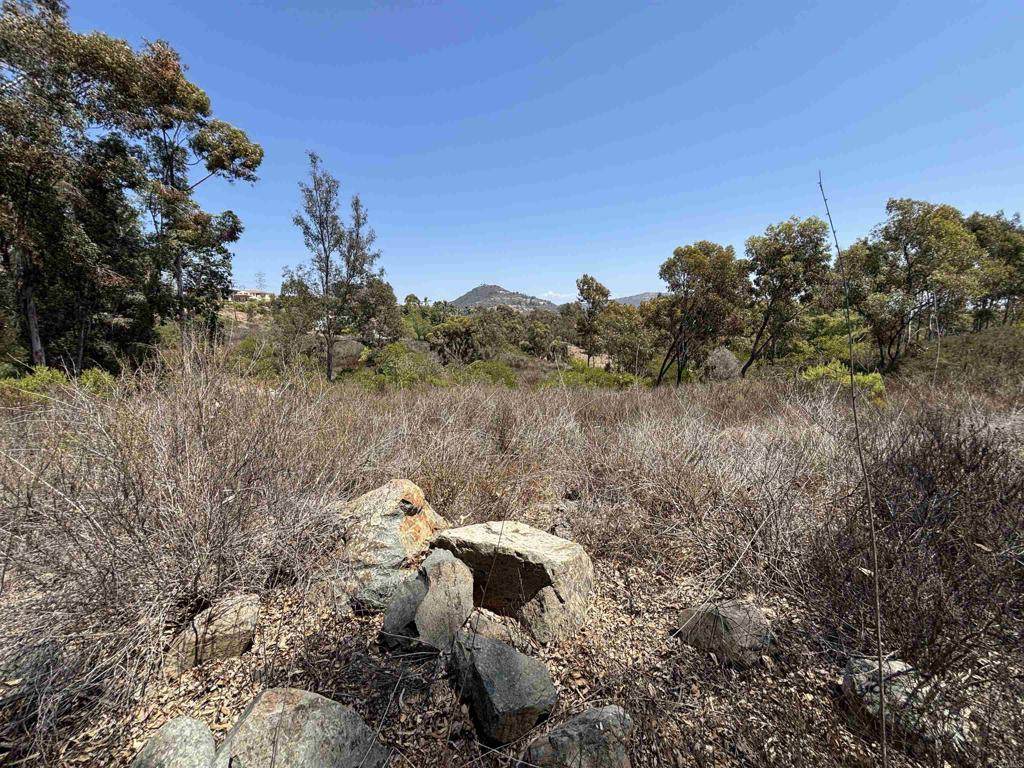 0 Lone Hill Lane - Photo 1