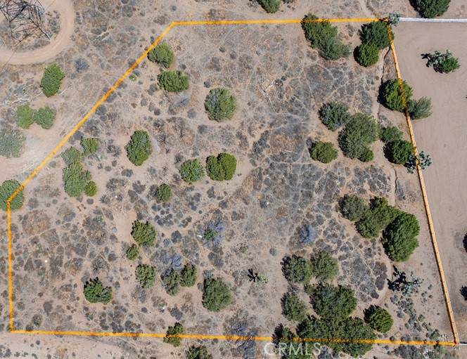 10624 Cedar Street - Photo 1