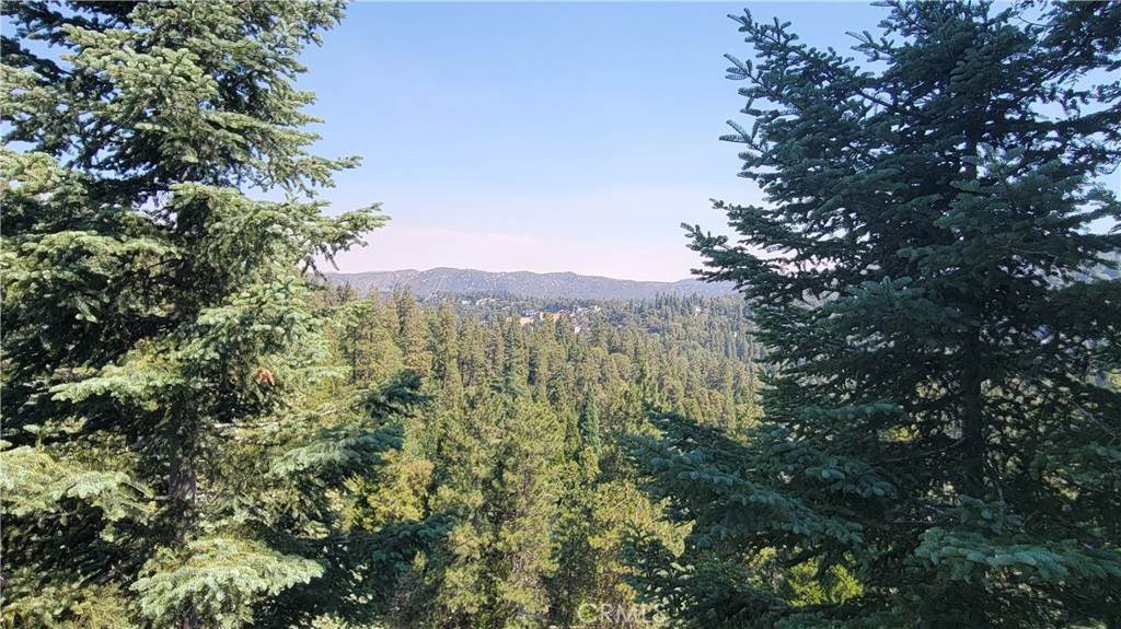 24722 Bernard Drive - Photo 1