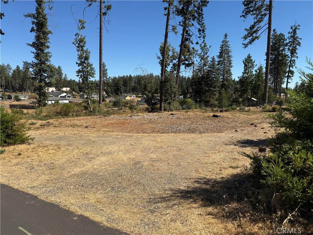 1378 Herman Road - Photo 1