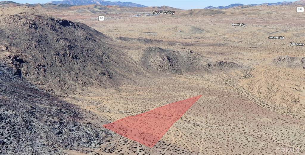 4 Joshua Tree - Photo 1