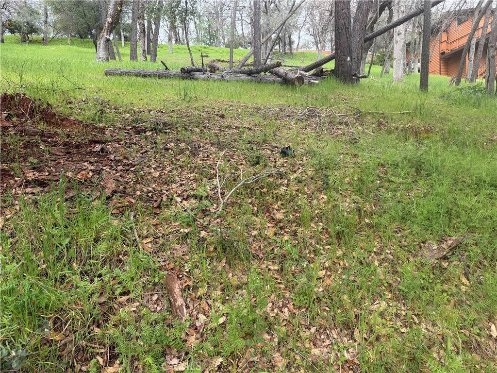 2695 Greenway Drive - Photo 1