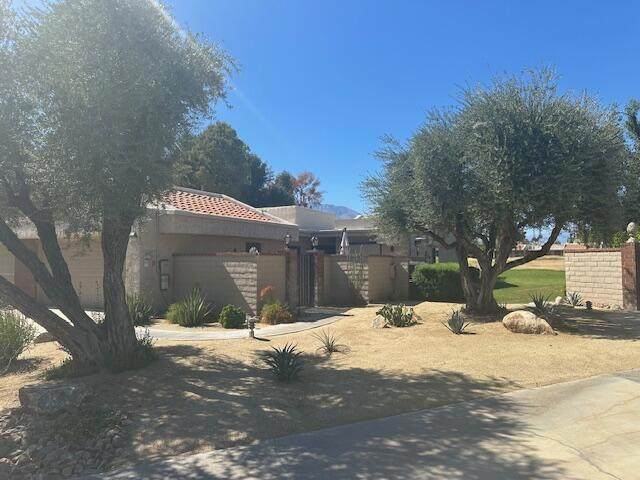 7630 Calle Mazamitla - Photo 1