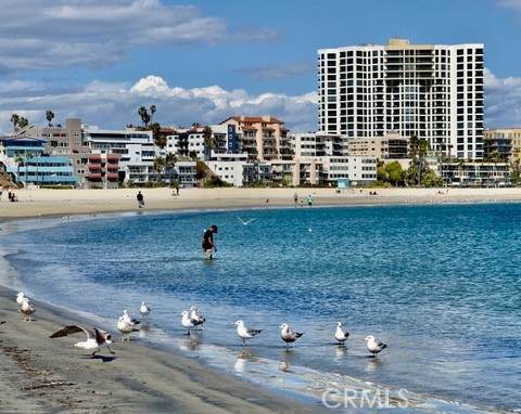 1310-Blvd Ocean Boulevard - Photo 1