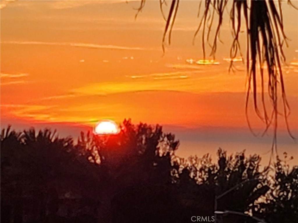 87 Palm Beach Court - Photo 1