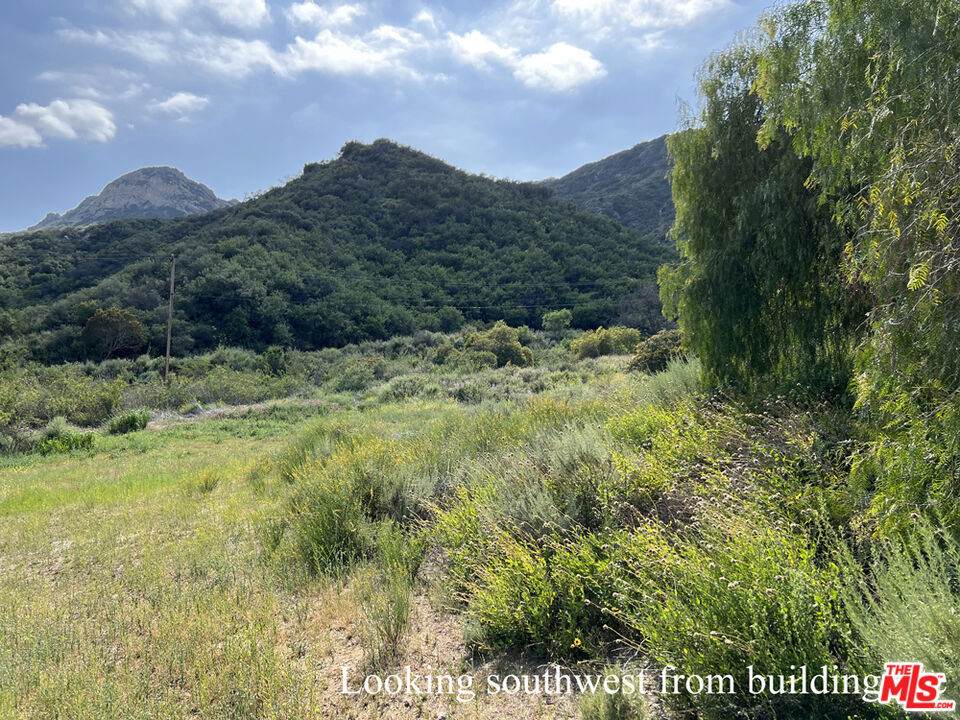 23629 Zuniga Road - Photo 1