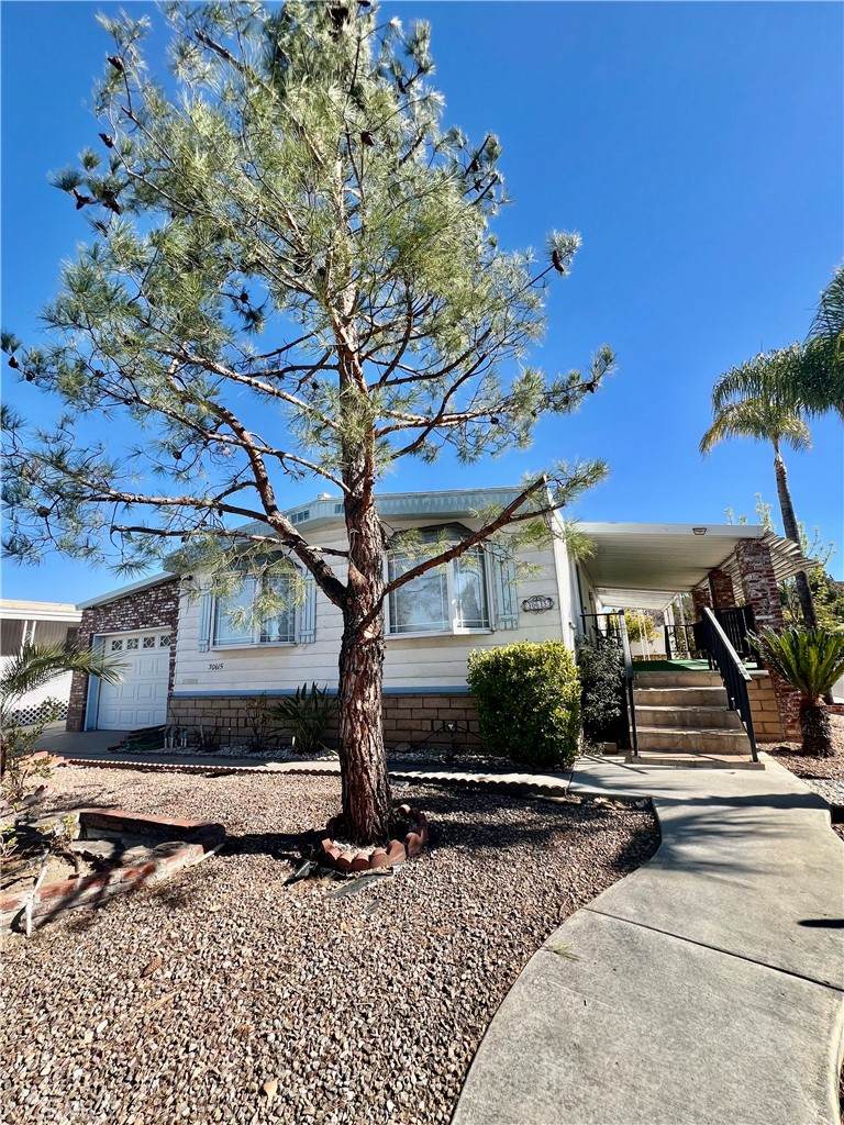 30615 Arenga Palm - Photo 1