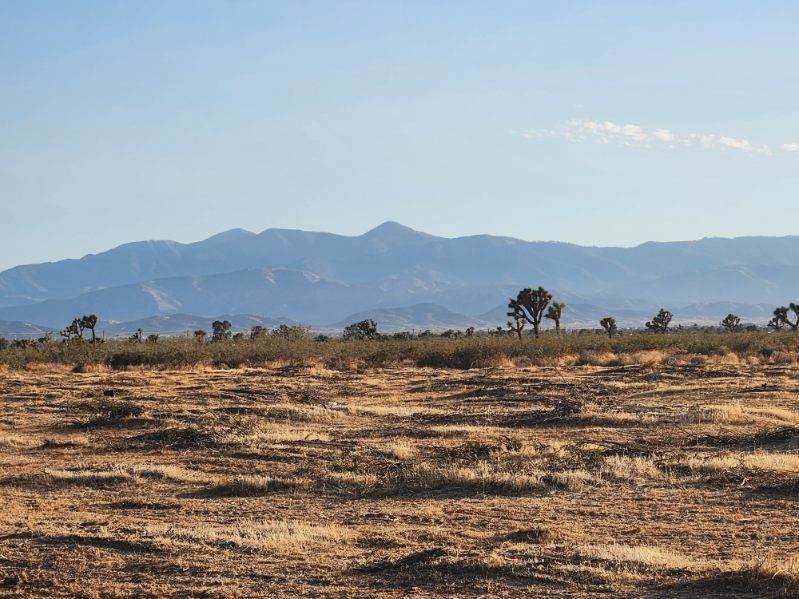 0 Bear Valley Road - Photo 1