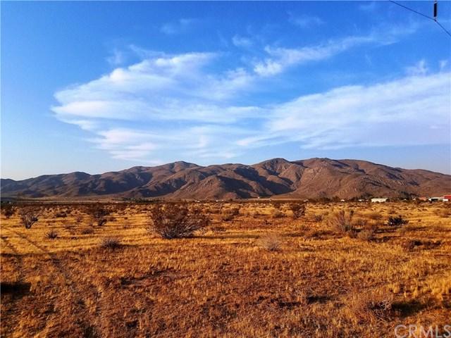 0 Del Oro - Photo 1