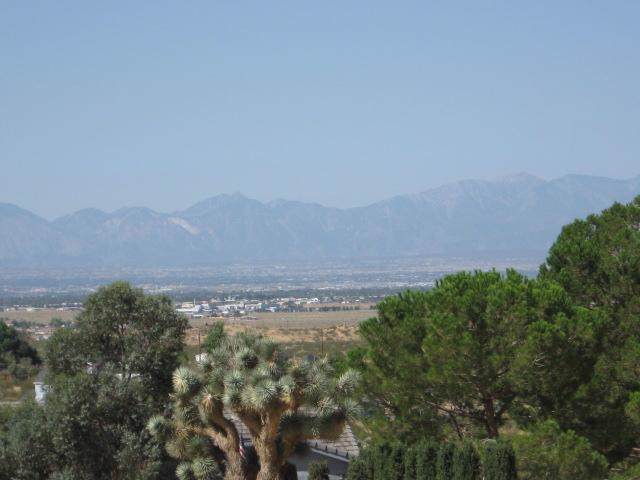 25155 Little Teepee Road - Photo 1