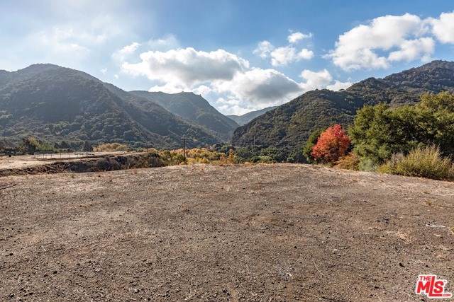 26255 Piuma Road - Photo 1