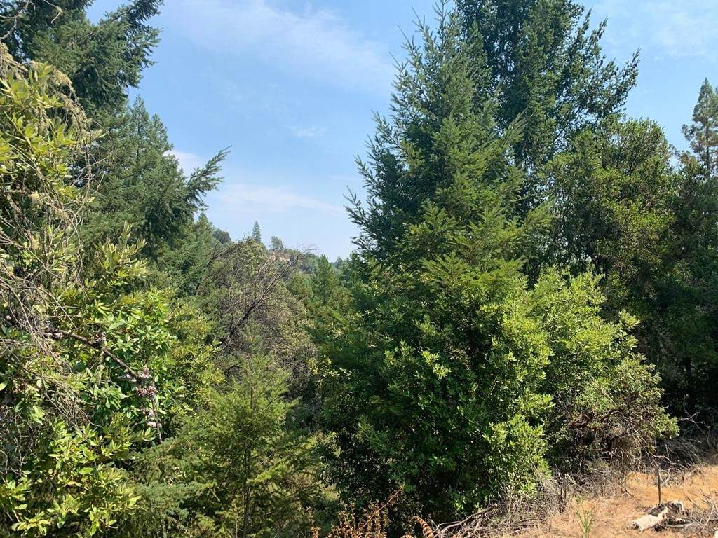 950 Middleton Drive - Photo 1