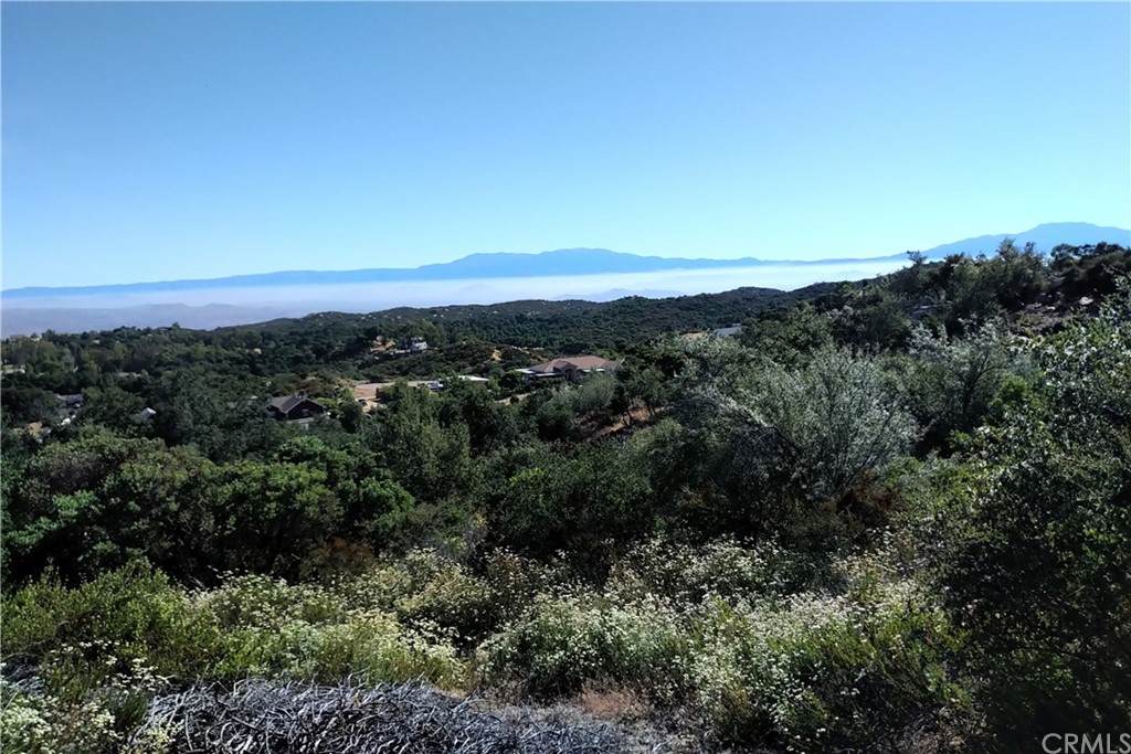 61 Los Alisos - Photo 1